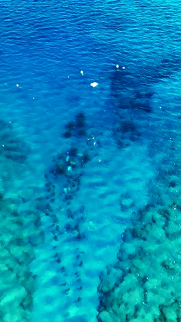 vertical aerial - deep blue and turquoise color water in mediterranean sea