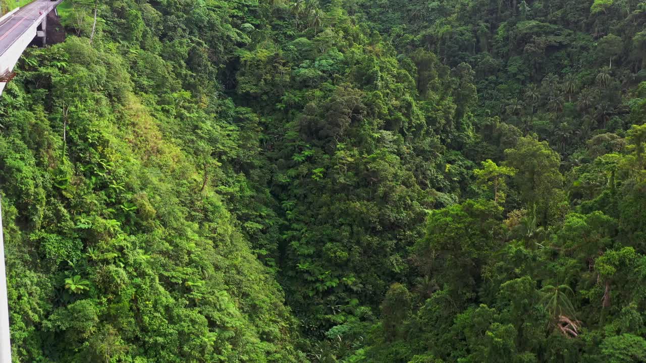 turistas comprobando la vista en la plataforma de observación del puente agas-agas sogod leyte del sur de filipinas, antena