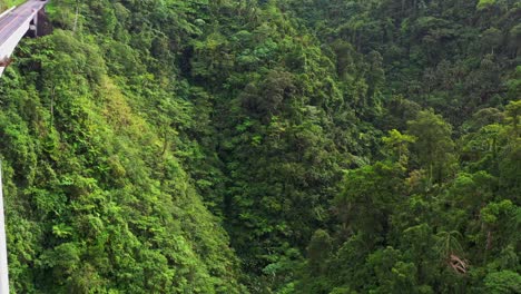 Tourists-checking-the-view-on-the-viewing-deck-of-Agas-Agas-Bridge-Sogod-Southern-Leyte-Philippines,-Aerial