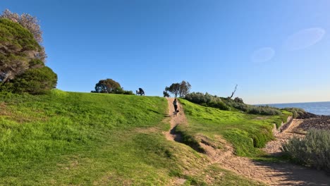 person walking dog along a scenic beach path