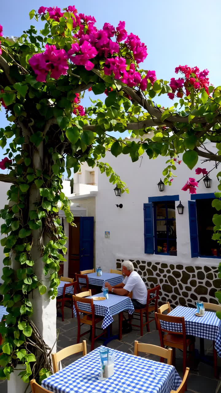 Picturesque Greek Outdoor Cafe and Traditional Mediterranean Cuisine