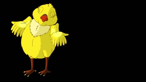 pequeño pollo amarillo en busca de comida (alfa mate)