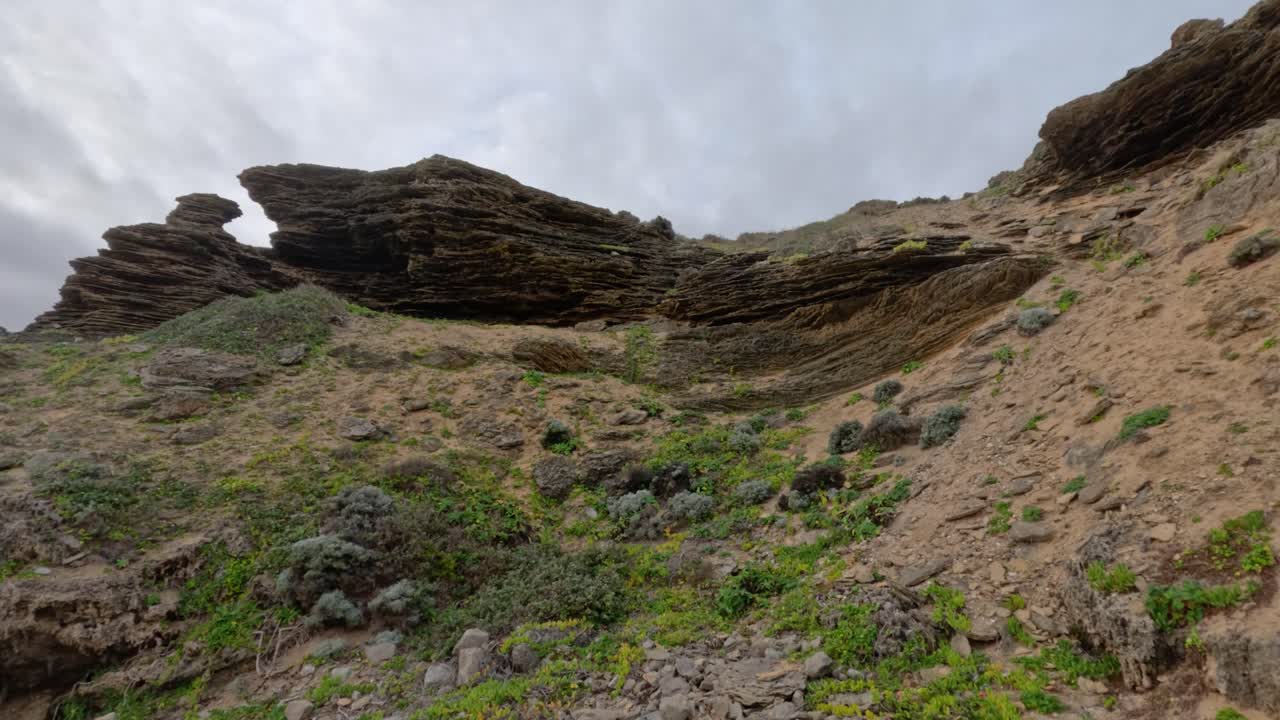 erosión y vegetación en las dunas de piedra caliza
