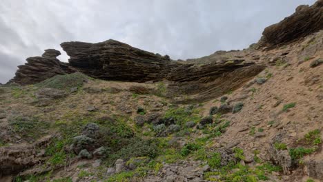 erosion and vegetation on limestone dunes