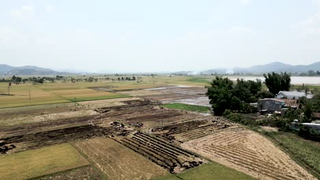 aerial view of rice paddies and rural landscape