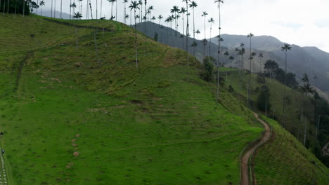 aerial drone view of cocora valley, salento, colombia