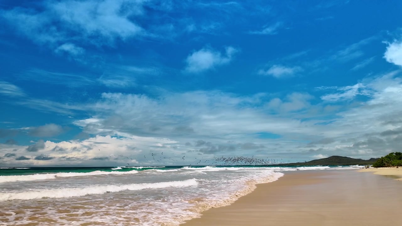 Stormo di uccelli marini che vola sopra le onde sulla spiaggia dell'Isola Isabela. Ampia vista costiera mostra acqua turchese, frangenti bianchi, sabbia bagnata e una bassa collina sotto nuvole stratificate.