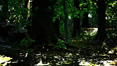 raíz cubierta de musgo en un bosque oscuro
