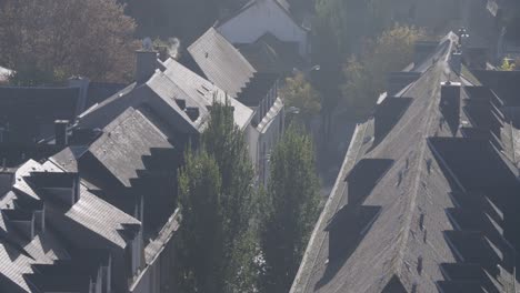 Medium-shot-of-a-peaceful-neighborhood-with-beautiful-tall-houses-and-trees-in-between