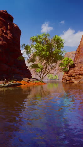 a lone tree grows on a small island in a canyon with red rock walls and a blue sky