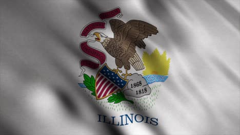 illinois state flag