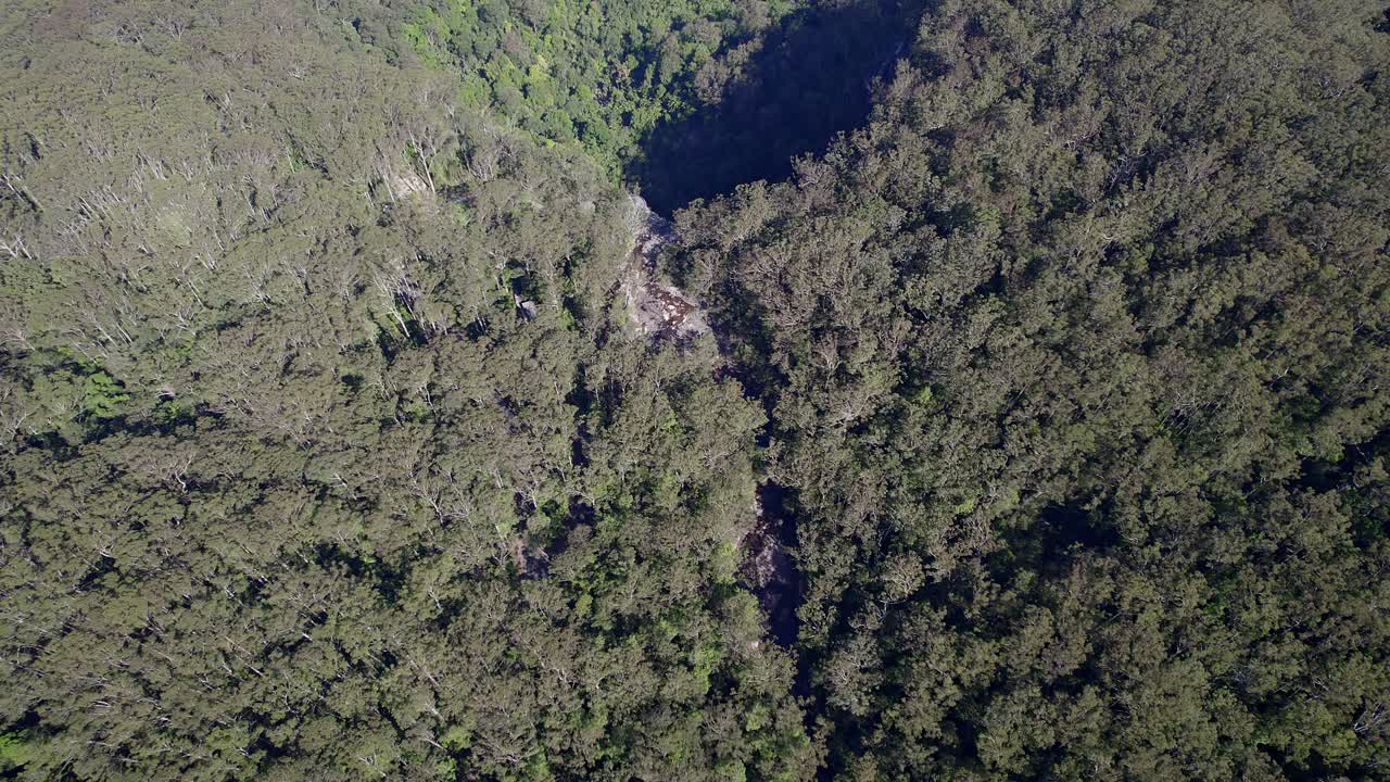 vista aérea de la exuberante selva tropical que rodea las cataratas minyon en nueva gales del sur, australia