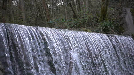 cámara lenta: cascada en un bosque suizo, alpes