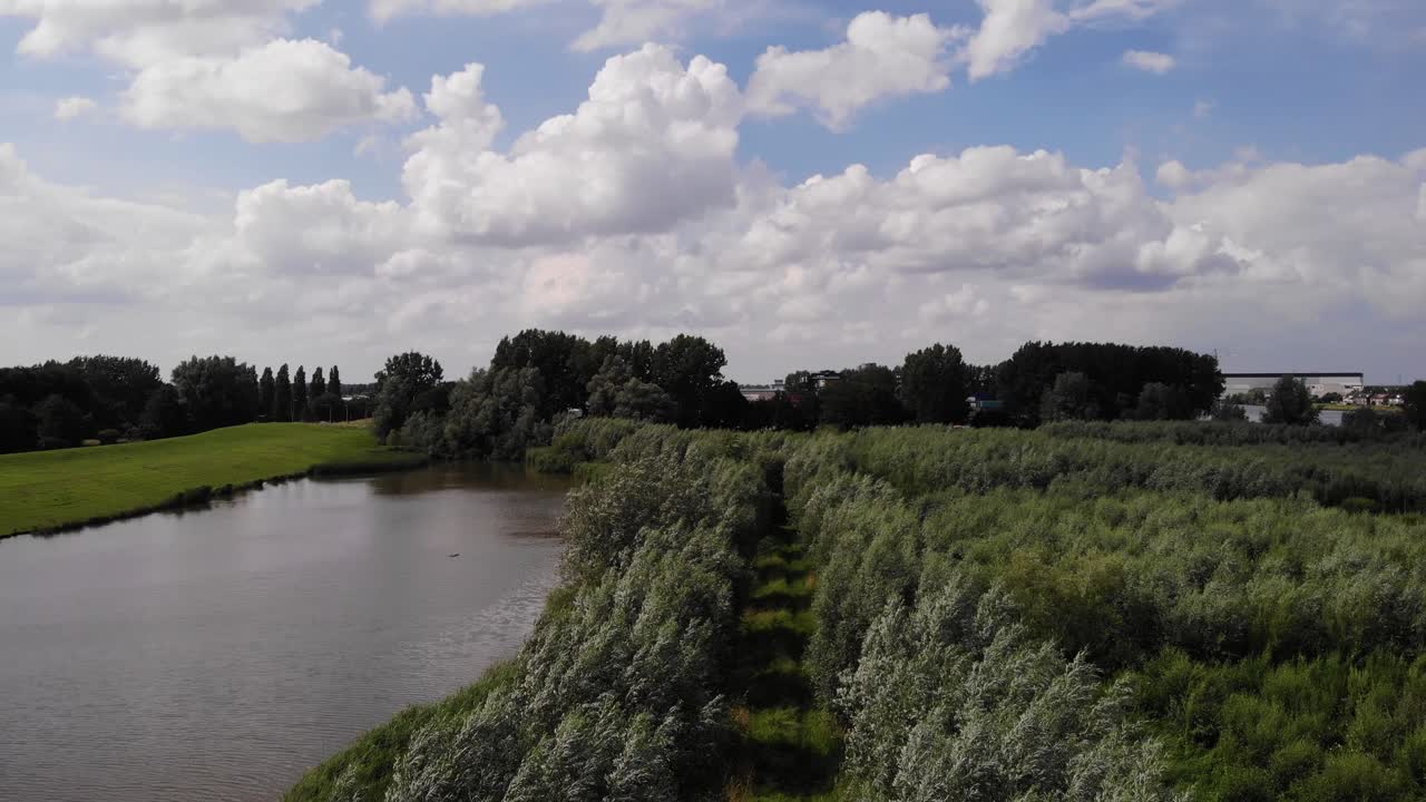 camino de la línea de árboles al lado del río en ridderkerk