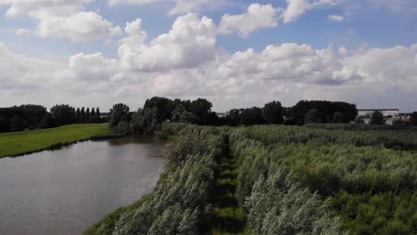 Ruta-De-La-Línea-De-árboles-Junto-Al-Río-En-Ridderkerk