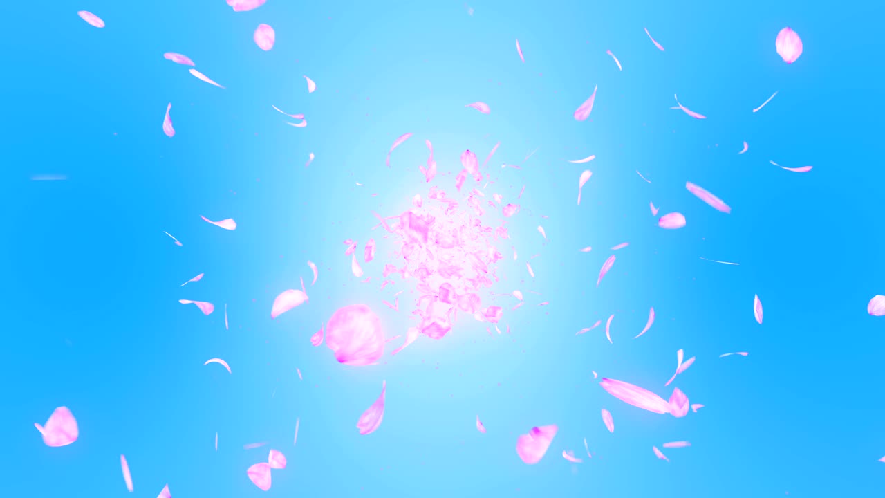 파란색 배경에 떨어지는 체리 꽃 잎, 루프 글리터 애니메이션