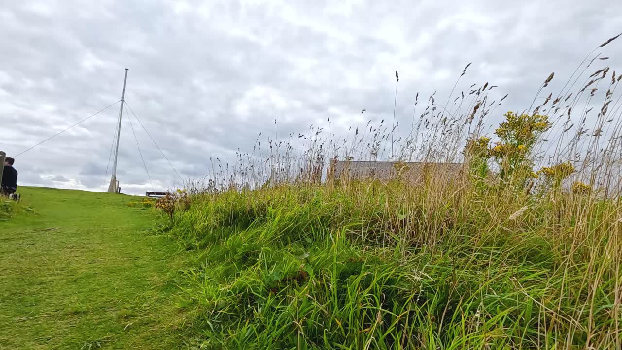 잔디이고 꽃으로 가득 찬 을 가로질러 경치 좋은 산책