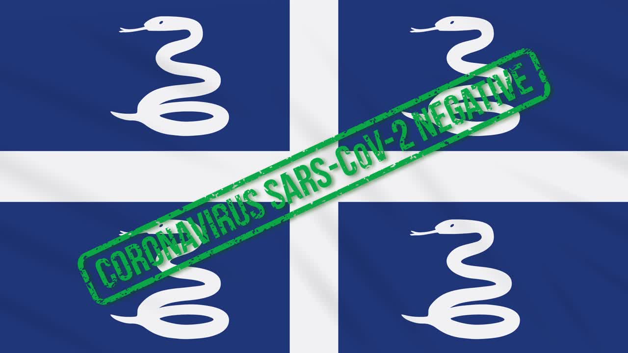 마르티니크가 코로나 바이러스로부터의 자유의 초록색 스프를 가진 발을 흔들고 있습니다.