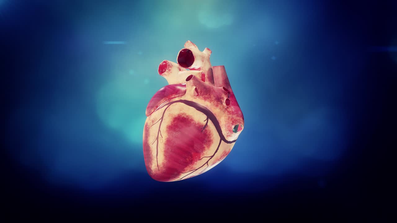 심장 박동 루프