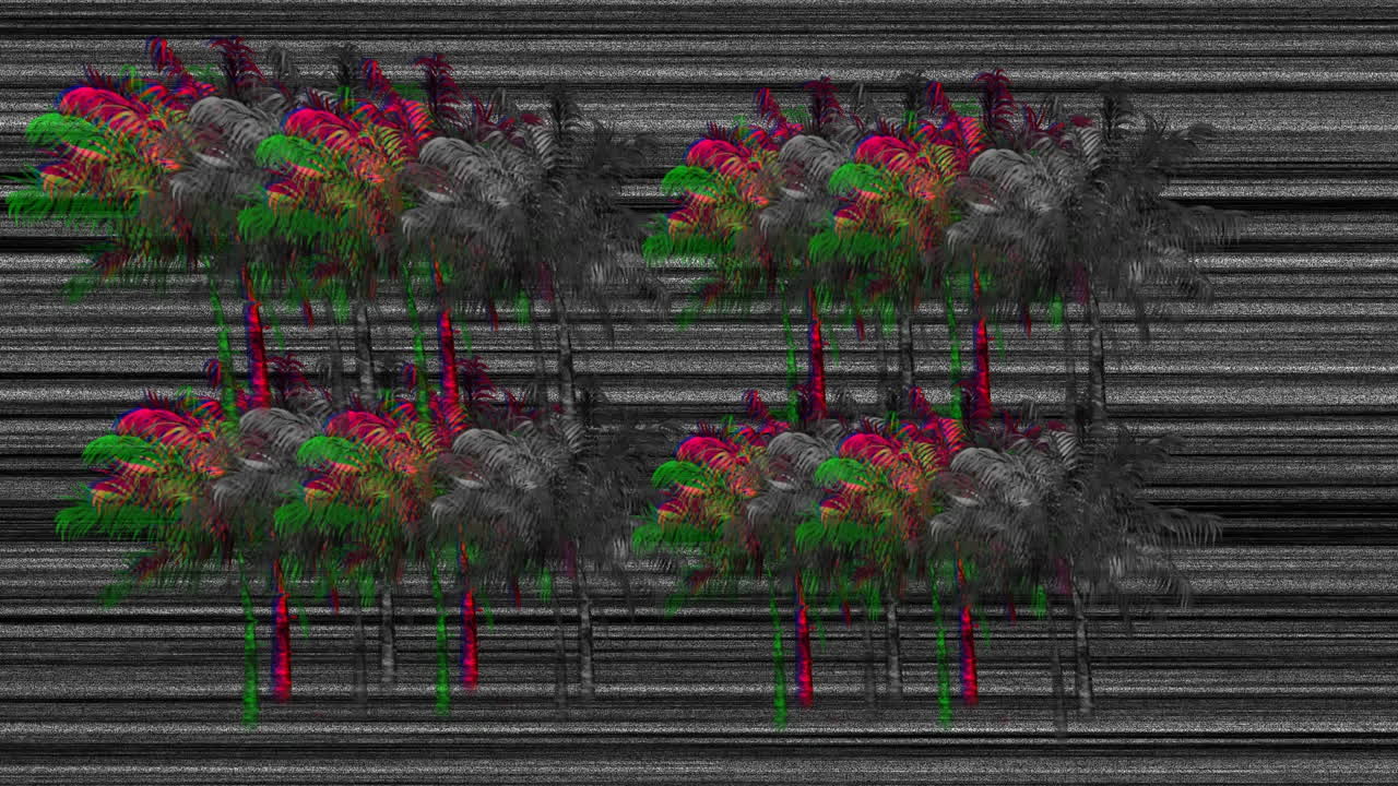 palmeras coloridas y monocromáticas