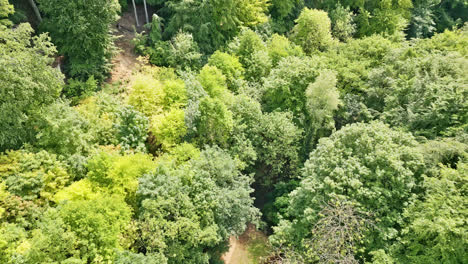 Vista-Aérea-De-Un-Parque-Rural-Del-Reino-Unido-Por-Drones