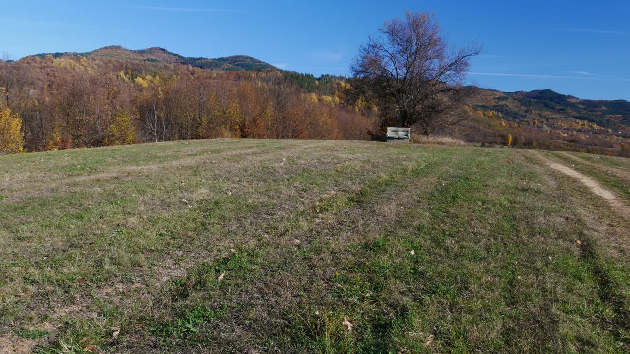 sofá en plena naturaleza