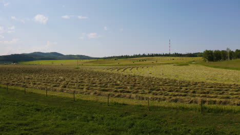 Scenic-aerial-view-flying-over-a-farm-field-of-freshly-cut-hay