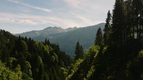 Droneflight-in-the-mountains-with-trees-in-the-foreground-and-mountains-in-the-background