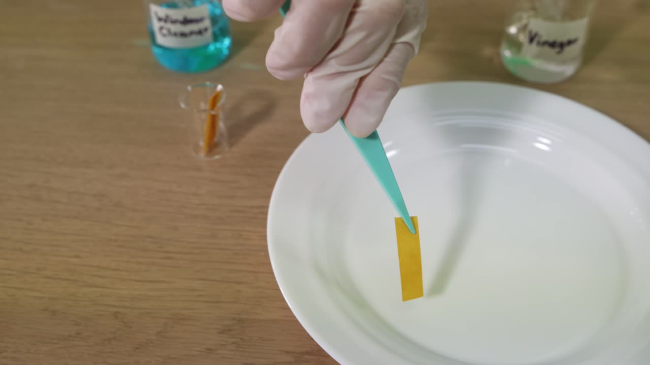 Demonstrating pH testing using litmus paper