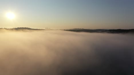 sunrise fog over forest