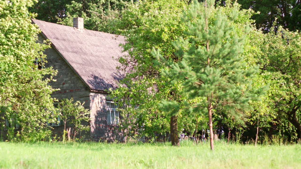 Abandoned Stone House in a Lush Green Forest