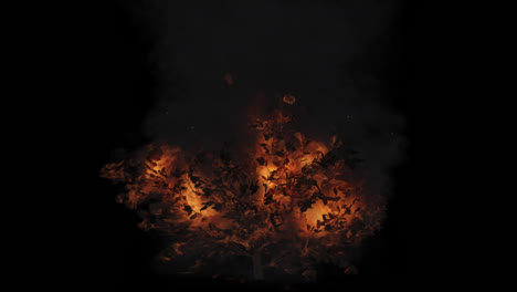 árbol en llamas por la noche