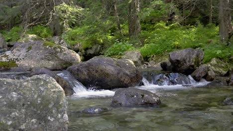 cute little mountain stream with small waterfalls in the wild on a sunny day