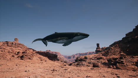 whale flying over a desert canyon