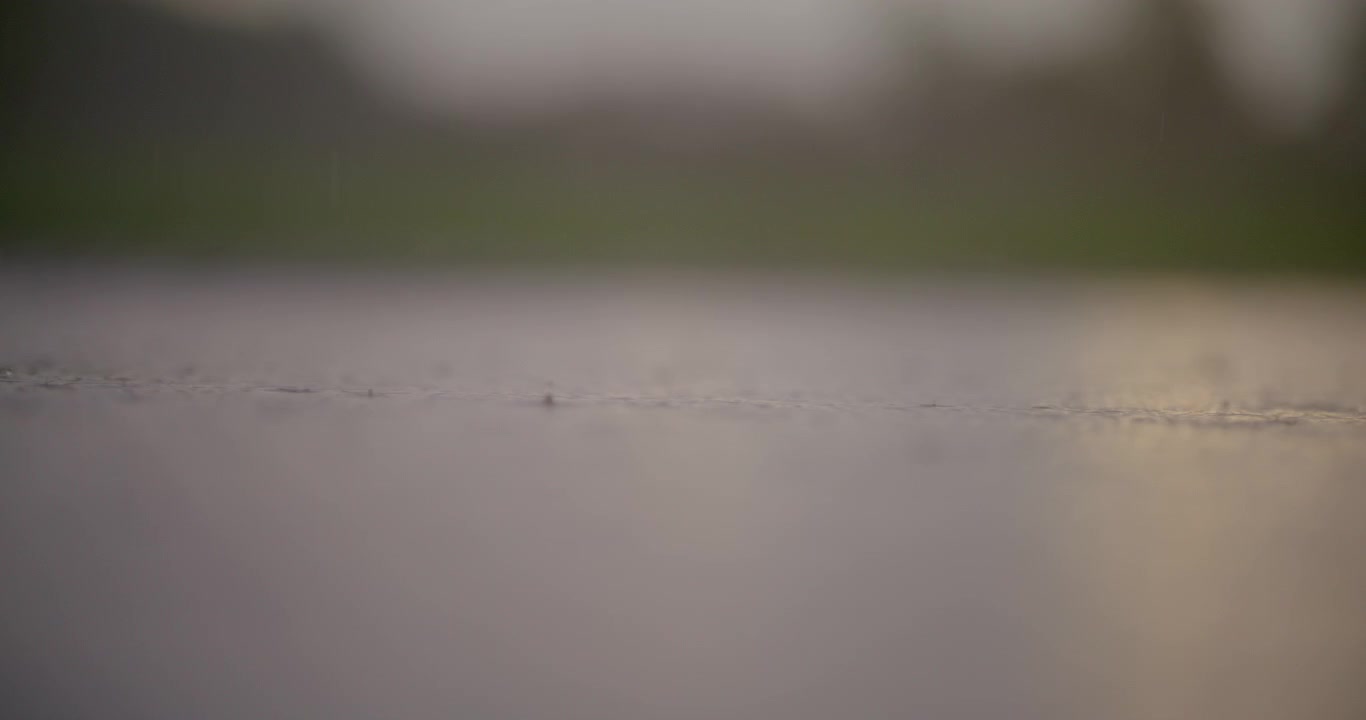 Close-up of Raindrops Falling on a Wet Pavement Surface