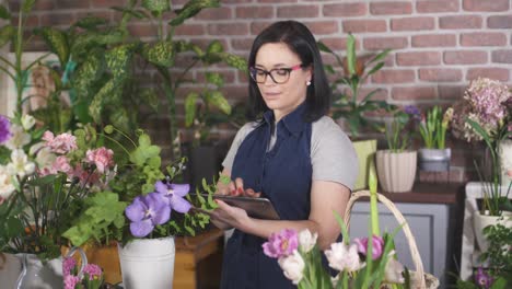 chica morena con gafas usa una tableta. mujer florista usa tecnología para contar flores en la tienda. mujer propietaria de una floristería usa aparatos en su negocio. mujer de negocios dueña de una pequeña empresa.