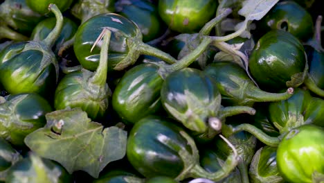 Solanum-Gilo,-Scharlachrote-Aubergine,-Zum-Verkauf-Auf-Dem-Freien-Markt,-Panoramaplan