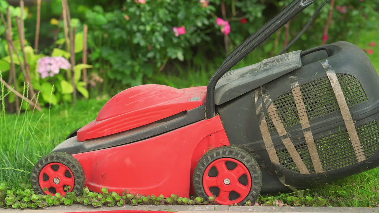 Close up shot of a red lawnmower trimming green lawn in a garden