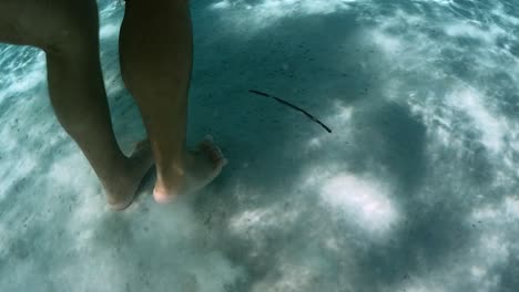 underwater scene of male legs and feet walking on sandy seabed in clear transparent ocean water