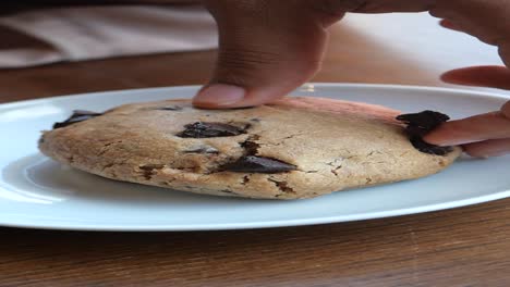 hand holding a chocolate chip cookie on a plate