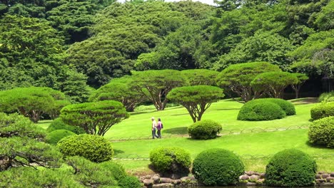 la vista de una pareja caminando en el jardín nacional shinjuku gyoen