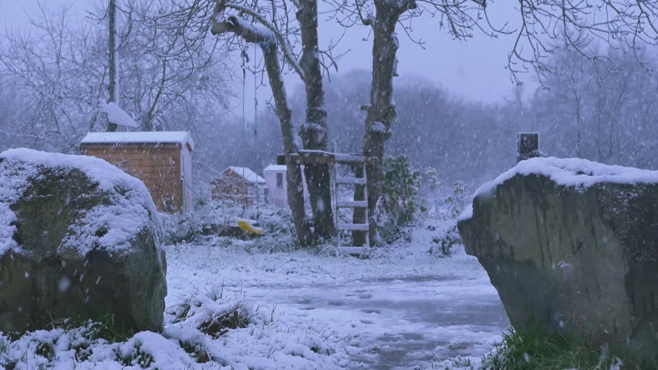 마을에 눈이 내리는 동안 개가 달리고 짖는 슬로우 모션 샷