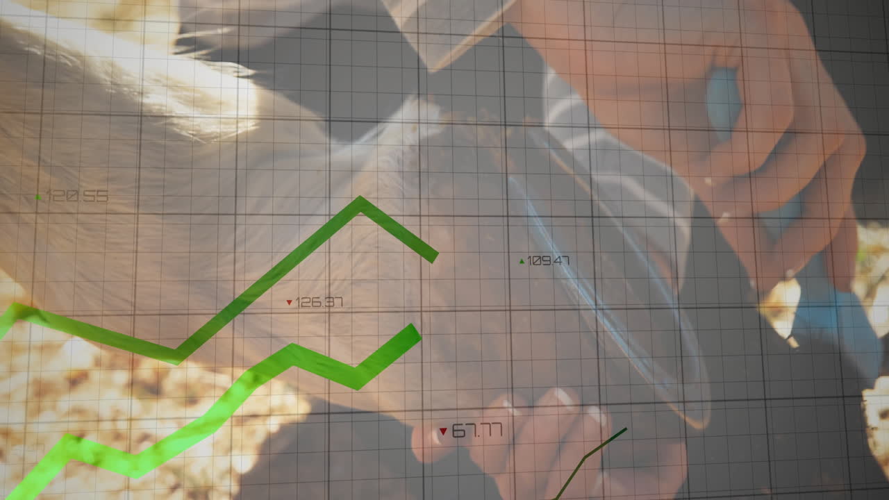 Mid-adult woman trimming hair in grooming scene, presenting green finance graph grid animations