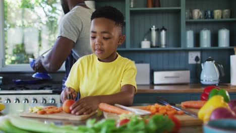 African-american-father-and-son-in-kitchen-wearing-aprons-and-preparing-dinner-together