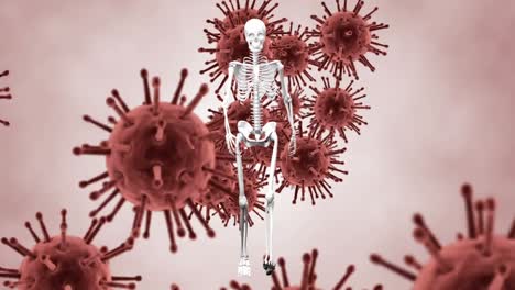 animation of human skeleton walking over covid 19 cells floating