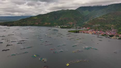 crowded tilapia fish cages on taal lake in philippines