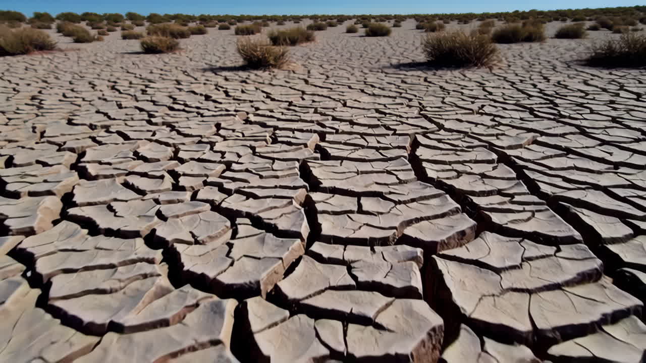 Dry Cracked Earth Landscape