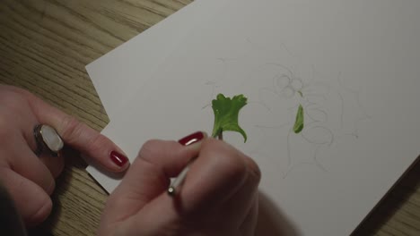 a close up shot of female hands painting holly leaves on a christmas card