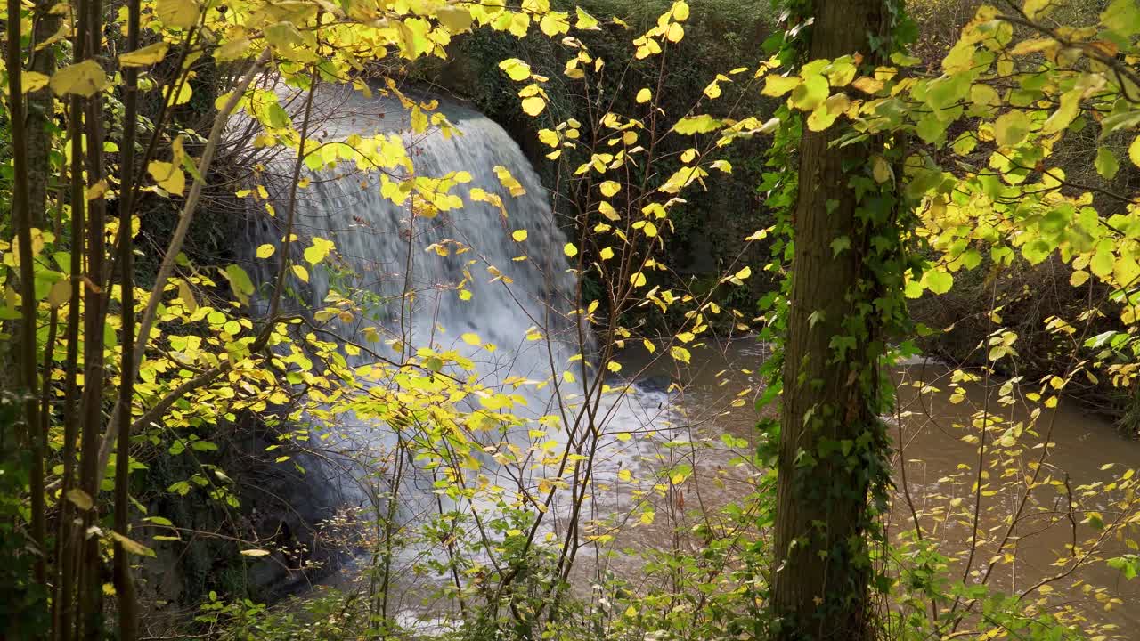 cascada trull en el otoño-otoño, caída de agua artificial en taunton somerset