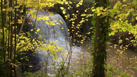 trull waterfall in the fall-autumn, man made water fall in taunton somerset